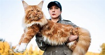 9 Facts About Maine Coons, the Gentle Giants of the Cat World