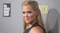What We Learned From Amy Schumer's Memoir 'Girl With the Lower Back ...