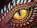Dragon Eye Drawing by Aaron Spong - Fine Art America