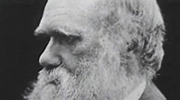 Muore Charles Darwin - Storia - Rai Cultura