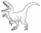 Dibujos De Dinosaurio Velociraptor Para Colorear Para Colorear Pintar ...