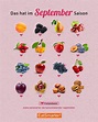 Saisonkalender September Obst & Gemüse | Saisonkalender obst und gemüse ...