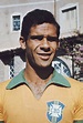 Hercules BRITO Ruas | Seleção brasileira de futebol, Futebol, Futebol ...