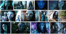 Meaning of Avatar – Biotionary