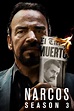 Narcos Temporada 3 - SensaCine.com.mx