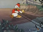 Disney Film Project: The Fox Hunt (1938)