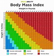 Body Mass Index - Everything You Should Know About Your BMI - How much ...