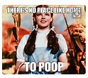 Pin by Karen Fawns on Jokes | Dorothy wizard of oz, Wizard of oz, Judy ...
