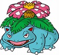 Pokemon Dreamworld Online (PC) Official Artwork | Pokemon venusaur ...