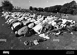 Swansea Religion Moslems in prayer at a ceremony marking the end of ...