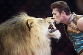 Circus Mania: Alex Lacey, his lions and tigers, star in Ringling ...
