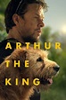 Arthur the King - Bay City Cinemas