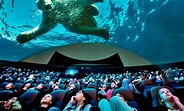Discovery Place IMAX Dome in - Charlotte, NC | Groupon