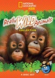 Best Buy: Really Wild Animals Collection [4 Discs] [DVD]