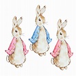Conjunto de peter rabbits bonitos em aquarela em jaqueta vermelha e ...