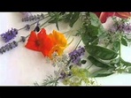 "edible flowers" by the finn brothers. - YouTube