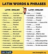 What are Latin words in English? - Learn Latin Language Online