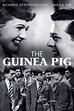 The Guinea Pig | Rotten Tomatoes