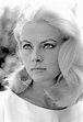 Virna Lisi-NRFPT