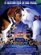 Sección visual de Como perros y gatos - FilmAffinity