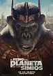 El reino del planeta de los simios - Película 2024 - SensaCine.com
