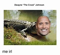 The Great One: 10 Hilarious Dwayne "The Rock" Johnson Memes