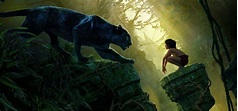 Mowgli Wallpapers - Wallpaper Cave