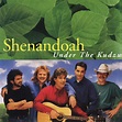 No. 43: Shenandoah, ‘I Want to Be Loved Like That’ – Top 100 Country ...