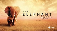 The Elephant Queen (2019) - Backdrops — The Movie Database (TMDb)