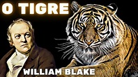 O TIGRE- William Blake (Dose Literária) #67 - YouTube