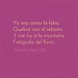 La loba. Alfonsina Storni Words, Lyrics