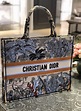 christian dior book tote,Save up to 16%,www.ilcascinone.com