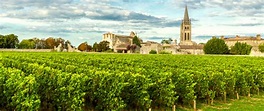 Visita el viñedo de Burdeos, uno de los más famosos del mundo