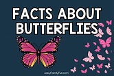 50 Fascinating Facts About Butterflies