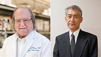 James P. Allison y Tasuku Honjo, Nobel de Medicina 2018 | RTVE