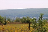 Mount Carmel, Pennsylvania