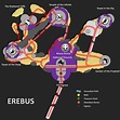 Shattered Throne Map - Destiny 2 - Guide Stash