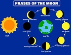 Phases of the moon.Lunar phase.Earth and sun.Luna The lunar cycle ...
