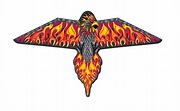 X Kites Sam's Club Phoenix Kite - 2023 Assortment A