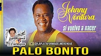 JOHNNY VENTURA. PALO BONITO - YouTube