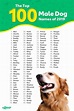 Most Popular Dog Names in the USA | Dog names, Dog names male, Best dog ...