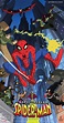 What's Going On With Spectacular Spider-Man Season 3? - Spider-Man ...