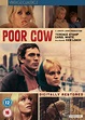 Poor Cow [DVD] [1967]: Amazon.co.uk: Carol White, Terence Stamp, Ken ...