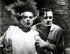 MI ENCICLOPEDIA DE CINE: 1935 - La novia de Frankenstein - Bride of ...