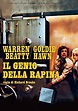 Film DVD Il Genio Della Rapina (DVD) - Ceny i opinie - Ceneo.pl