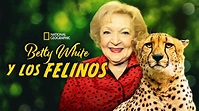 Ver Betty White y los felinos | Película completa | Disney+