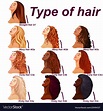 Hair Texture Chart