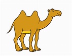 Dibujo de Camello africano pintado por en Dibujos.net el día 22-05-17 a ...