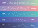 Brainwave Frequencies Explained