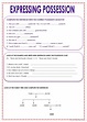 EXPRESSING POSSESSION: English ESL worksheets pdf & doc